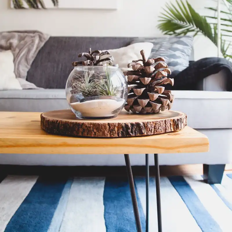 A live-edge wooden coffee table on black hairpin legs in a living room